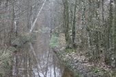 Bois des Hautes Landes